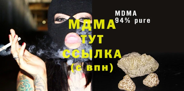 прущие грибы Абаза
