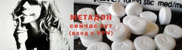 прущие грибы Абаза