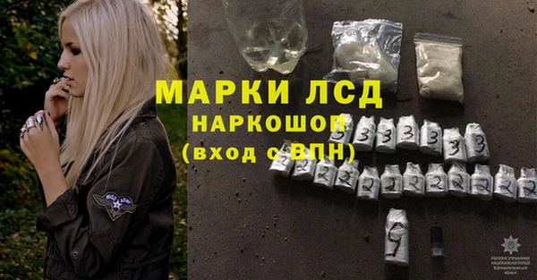 прущие грибы Абаза