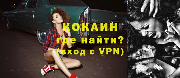 прущие грибы Абаза