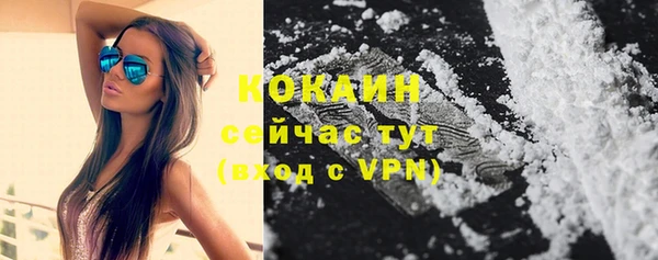 прущие грибы Абаза