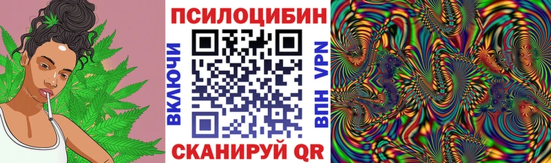 Галлюциногенные грибы Psilocybine cubensis  Чегем 